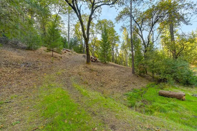 a view of a field with trees in back