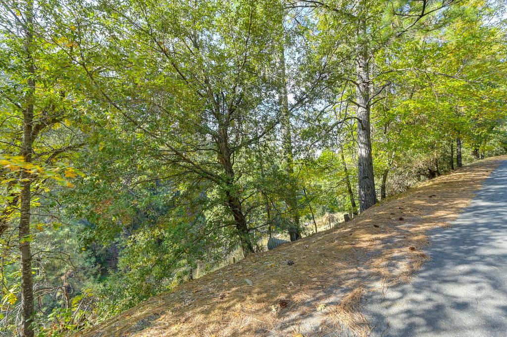 26355 Barb Wire Lane Colfax, CA 95713 - Photo 18 of 43 a view of a forest