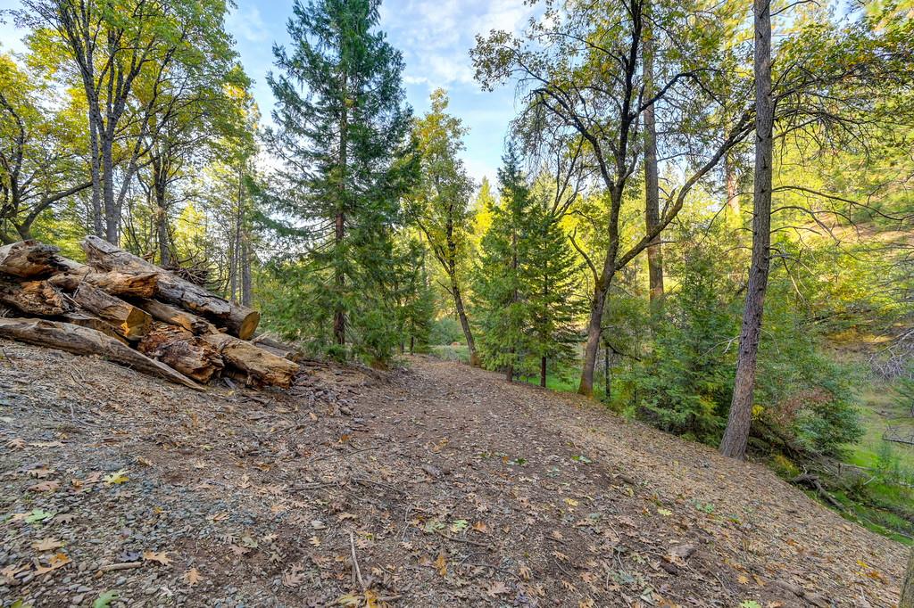 26355 Barb Wire Lane Colfax, CA 95713 - Photo 19 of 43 a view of a forest with trees in the background