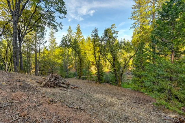 a view of a field with trees in the background