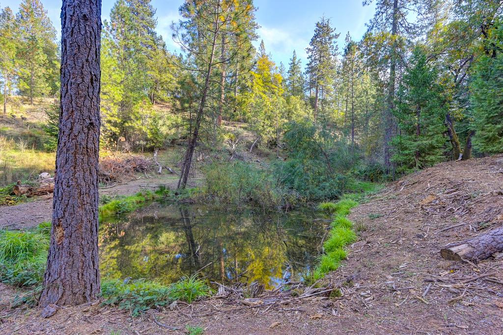 26355 Barb Wire Lane Colfax, CA 95713 - Photo 2 of 43 a backyard of a house with lots of green space