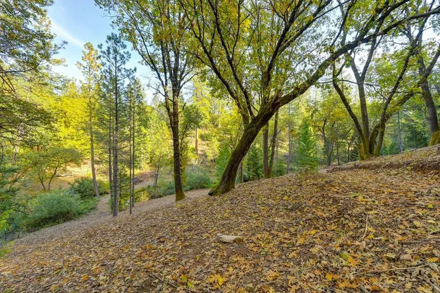 a view of a yard with trees