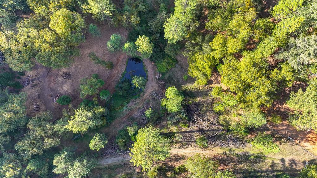26355 Barb Wire Lane Colfax, CA 95713 - Photo 26 of 43 a flower view with a garden