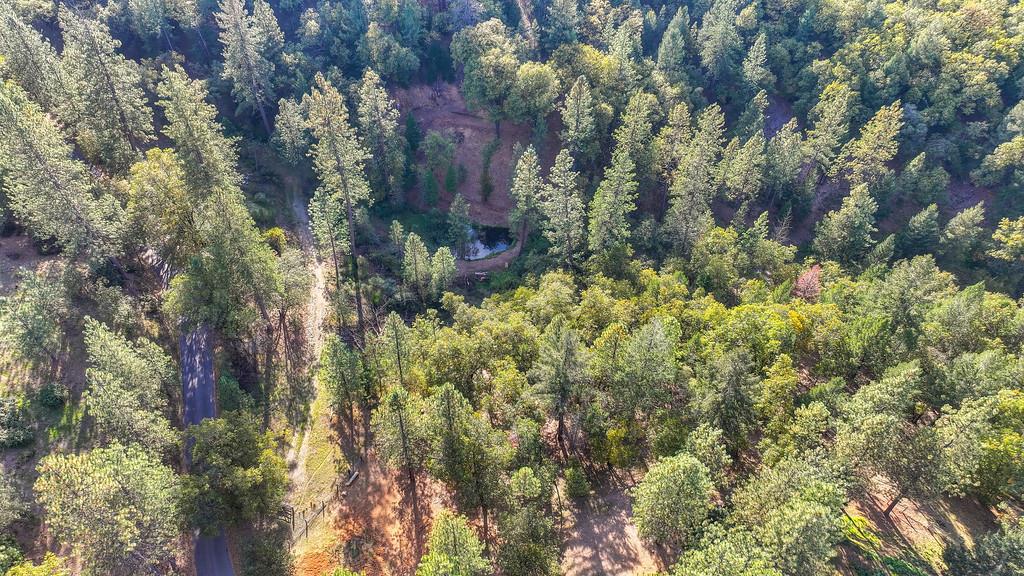 26355 Barb Wire Lane Colfax, CA 95713 - Photo 27 of 43 a view of a house with a tree