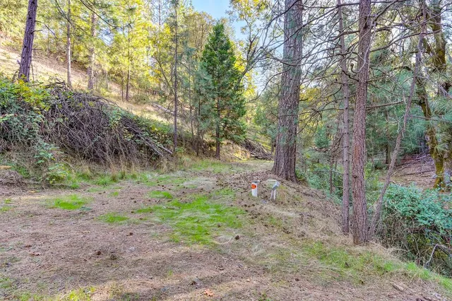 a backyard of a house with lots of green space