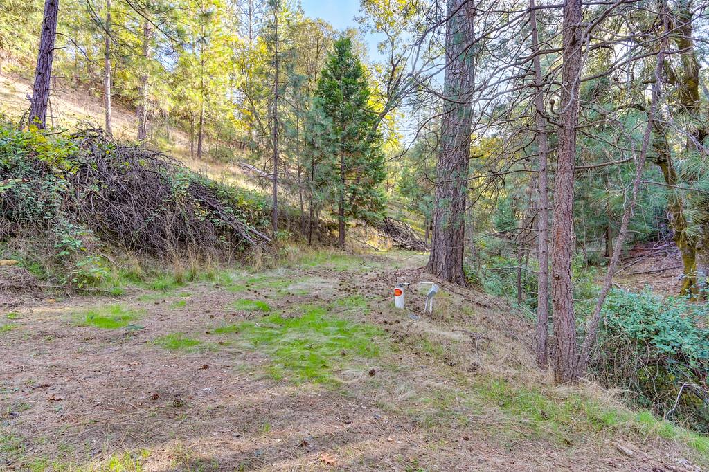 26355 Barb Wire Lane Colfax, CA 95713 - Photo 3 of 43 a backyard of a house with lots of green space