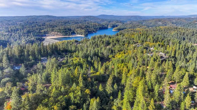 a view of a city with lush green forest