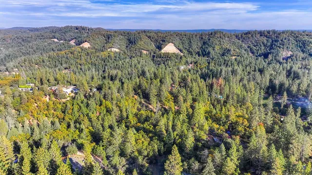 a view of a city with lush green forest