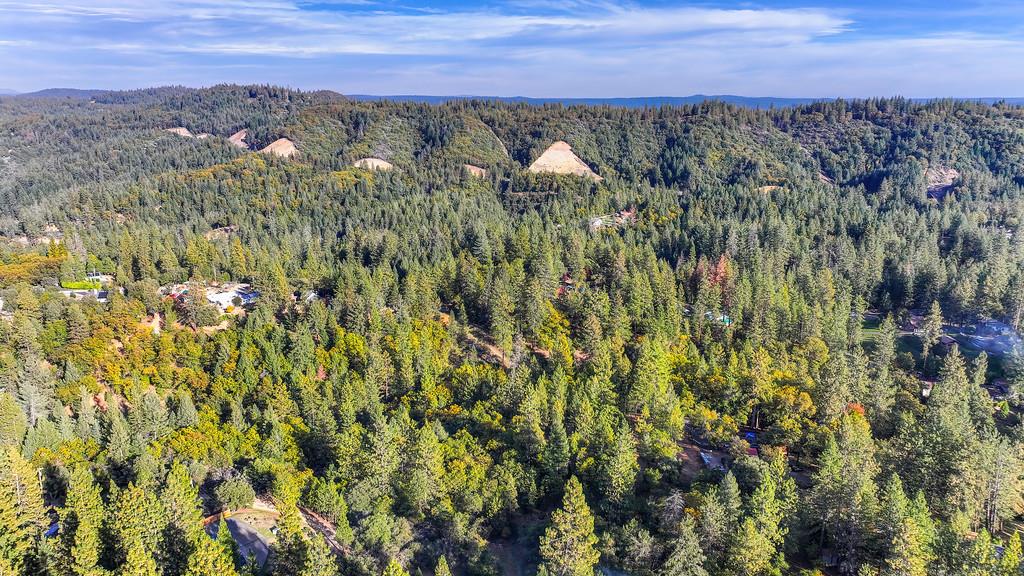 26355 Barb Wire Lane Colfax, CA 95713 - Photo 32 of 43 a view of a city with lush green forest