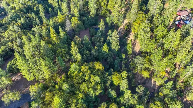 a view of a lake in middle of forest