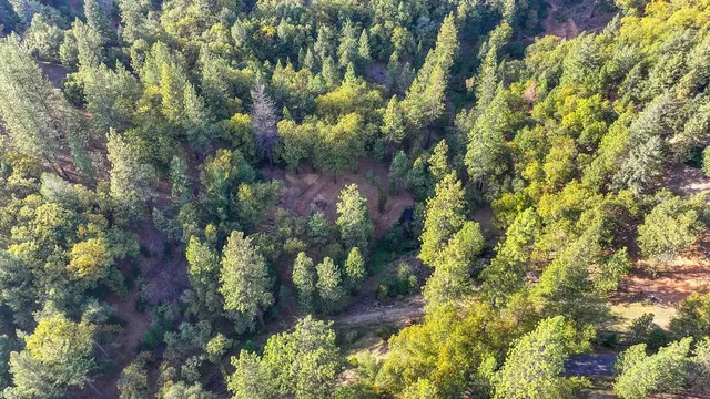 a view of a and covered with trees