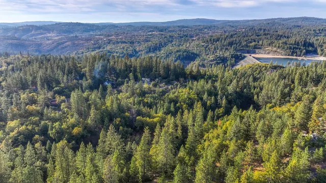 a view of a lot of trees and bushes