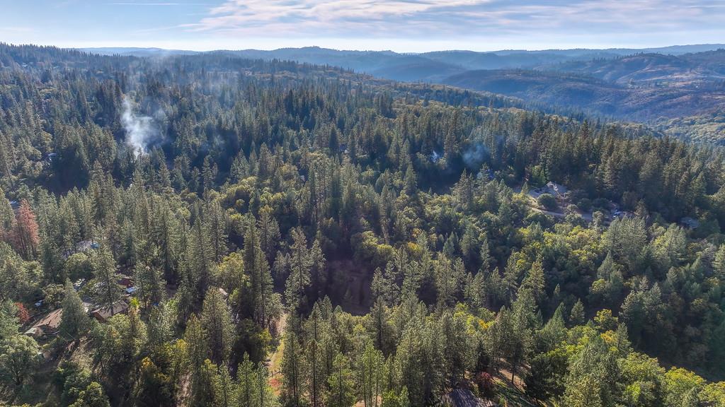 26355 Barb Wire Lane Colfax, CA 95713 - Photo 41 of 43 a view of a and covered with trees