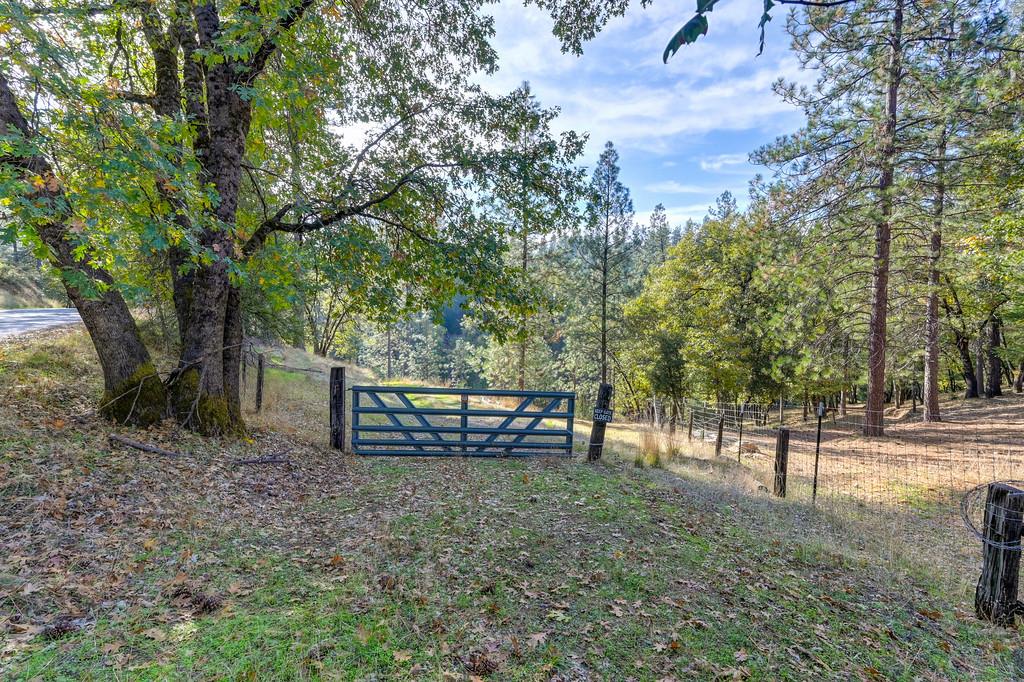 26355 Barb Wire Lane Colfax, CA 95713 - Photo 7 of 43 a view of a bench in a backyard