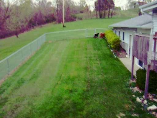 66 Shidler Road Amity, PA 15311 - Photo 8 of 8 Yard/Garden.