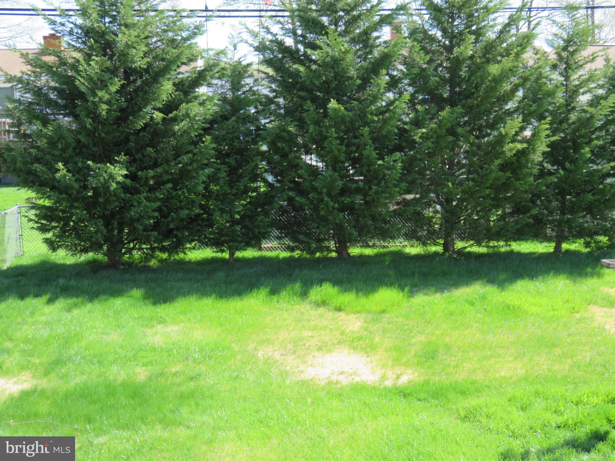3822 Bayville Road Baltimore, MD 21220 - Photo 3 of 25 Rear Yard