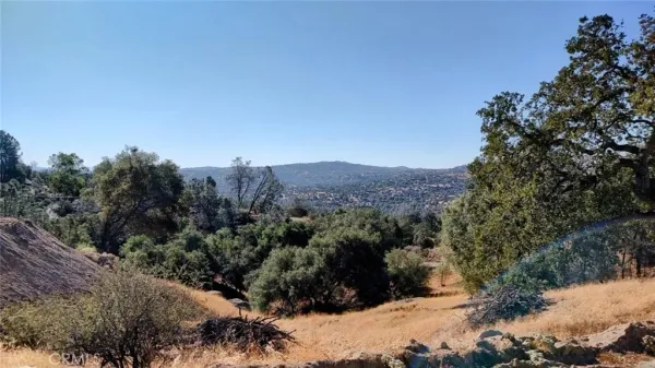 a view of a forest with mountains in the background