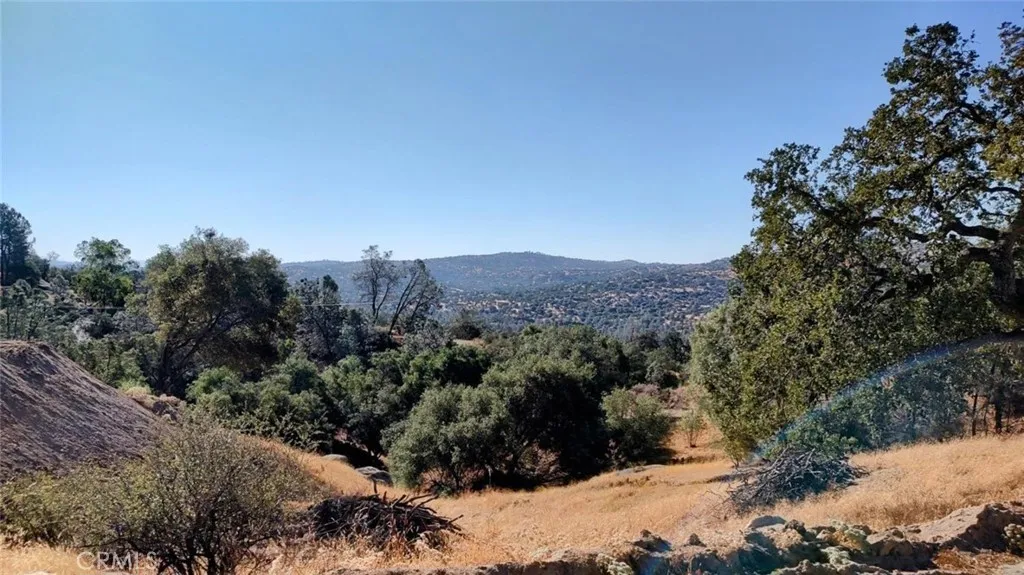 a view of a forest with mountains in the background