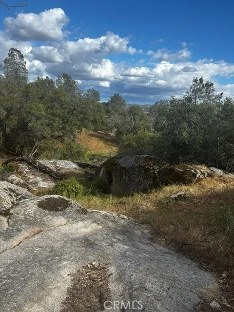 4 Powder Horn Lane Coarsegold, CA 93614 - Photo 11 of 14 a view of a pathway both side of yard