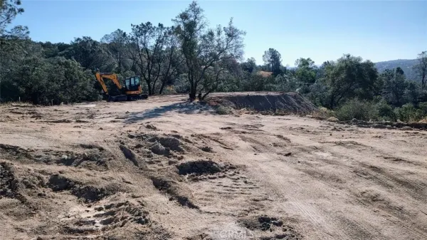 a view of outdoor space with trees all around