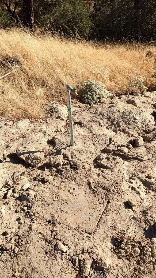 4 Powder Horn Lane Coarsegold, CA 93614 - Photo 6 of 7 a view of a yard covered in snow