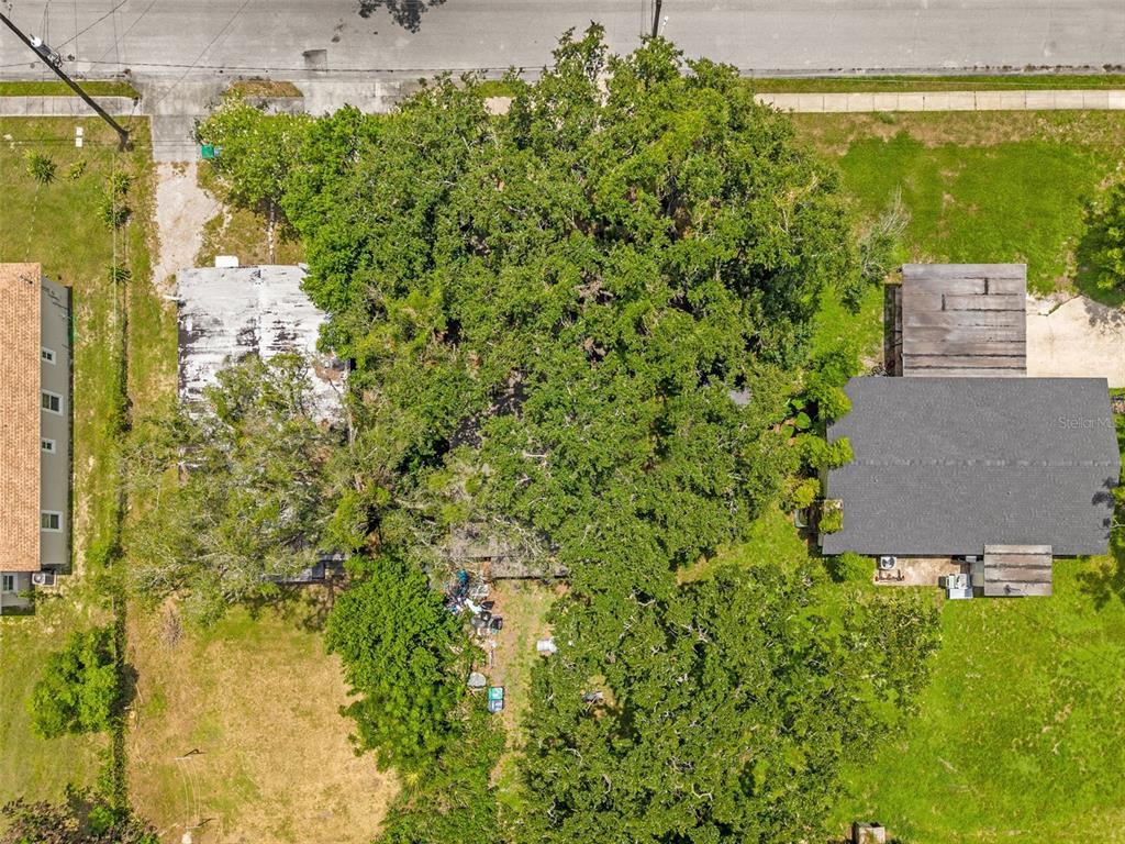 809 22nd Street Orlando, FL 32805 - Photo 5 of 21