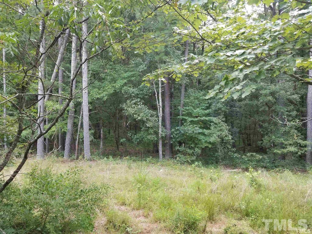 90 Bonsal Crossing Road New Hill, NC 27562 - Photo 6 of 11 a view of backyard with green space