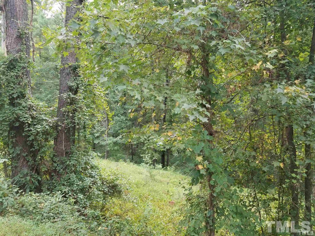 90 Bonsal Crossing Road New Hill, NC 27562 - Photo 7 of 11 a view of a lush green forest