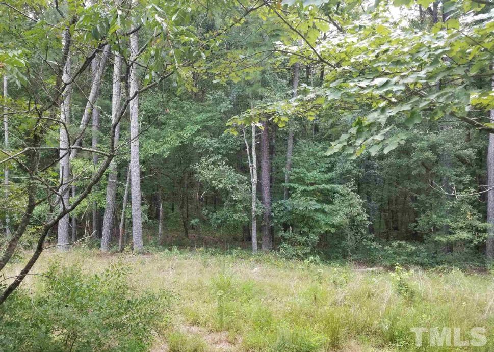 90 Bonsal Crossing Road New Hill, NC 27562 - Photo 8 of 11 a backyard of a house with lots of green space