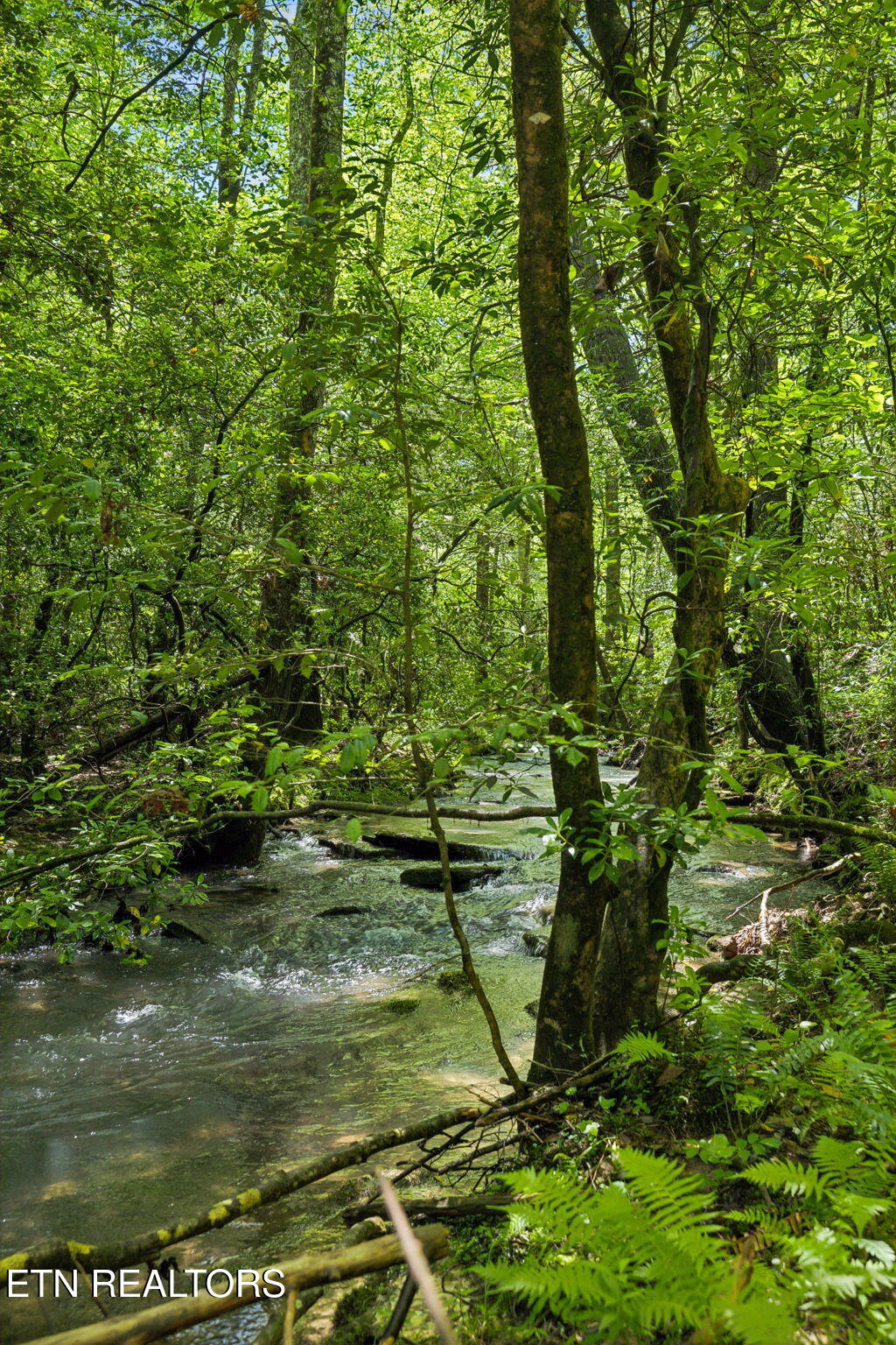1460 Big Neck Road Grandview, TN 37337 - Photo 16 of 32 Creek