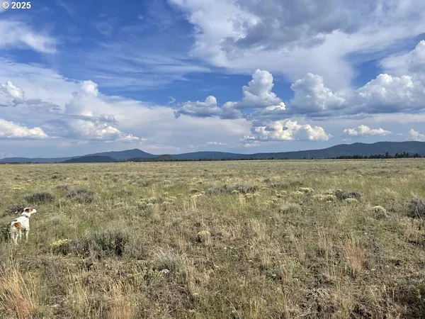 a view of an ocean beach and mountain