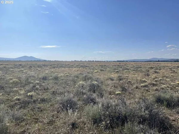 a view of a dry yard