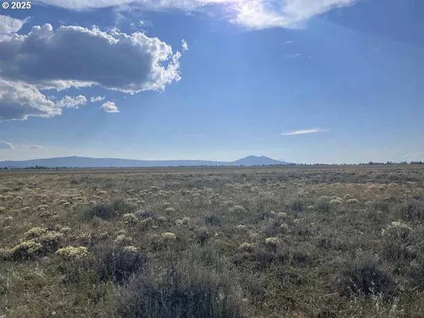 a view of a bunch of trees and houses