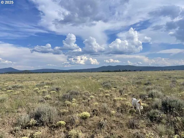 $19,000 | Tableland Road, Unit 900, Chiloquin, OR 97624