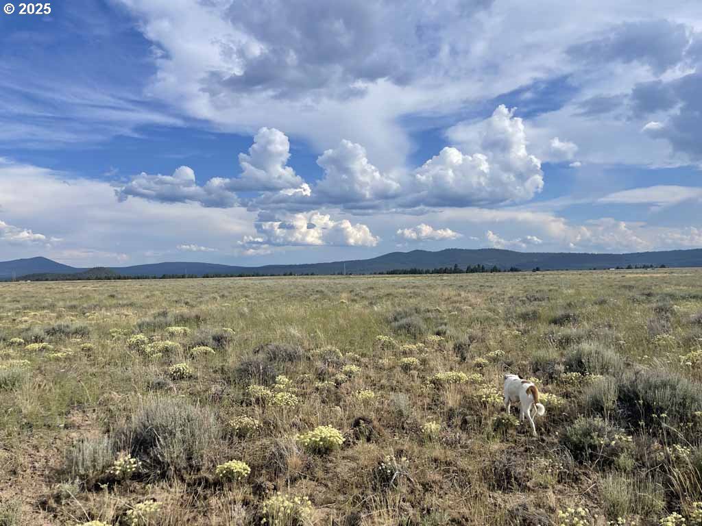 Tableland Road, Unit 900 Chiloquin, OR 97624 - Photo 9 of 10 a view of a city and mountain in the background