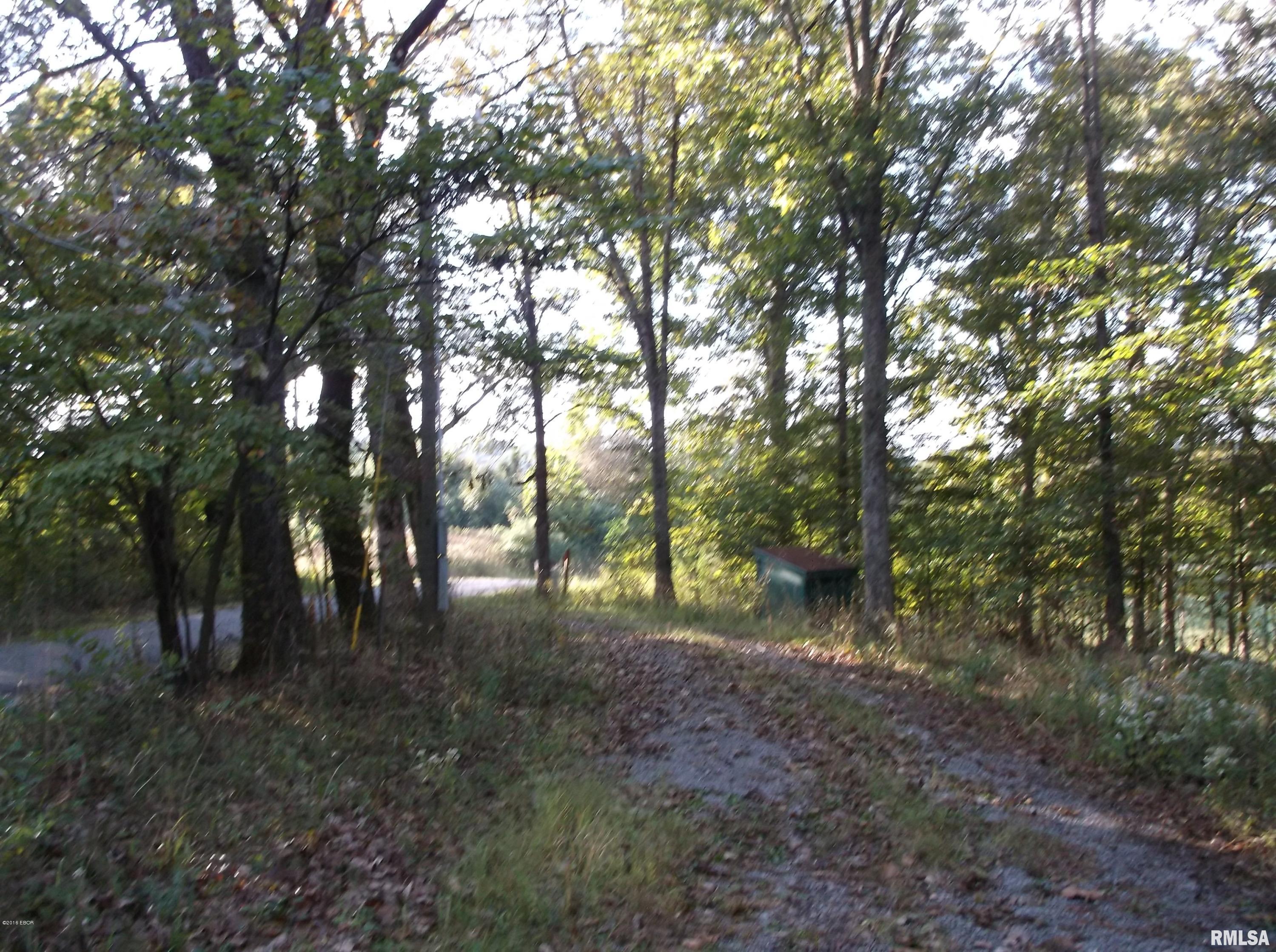 0 South Iron Furnace Road Rosiclare, IL 62982 - Photo 1 of 31 Gallery Image 1