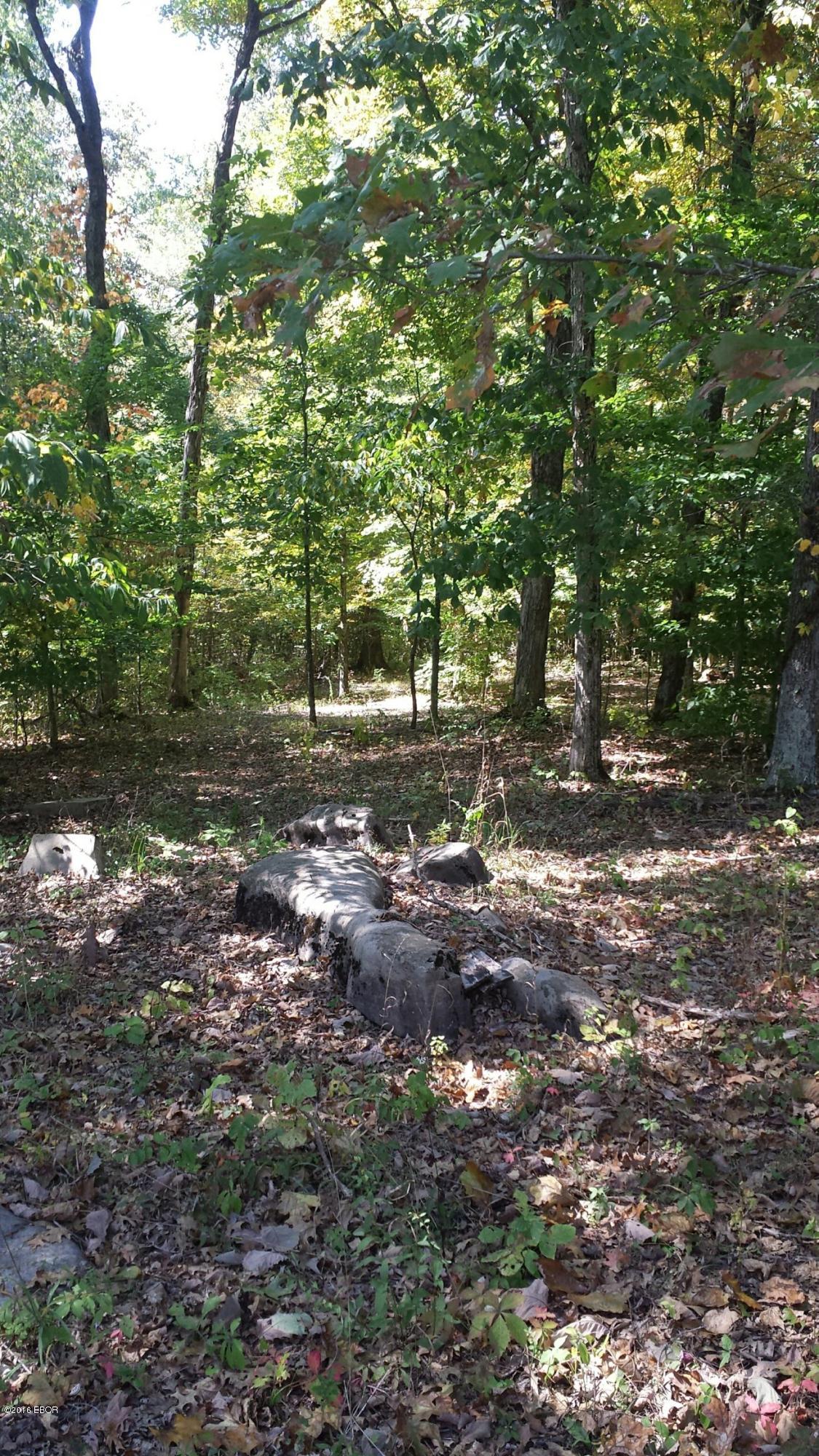 0 South Iron Furnace Road Rosiclare, IL 62982 - Photo 14 of 31 Gallery Image 14