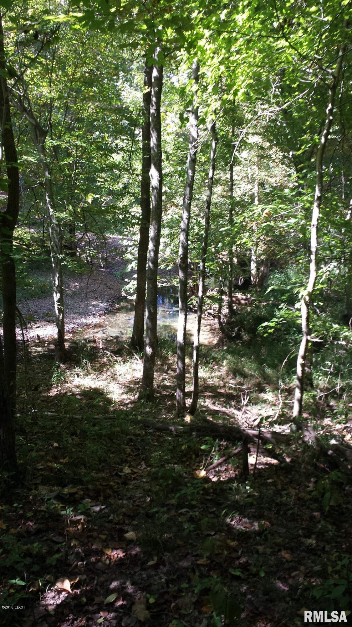 0 South Iron Furnace Road Rosiclare, IL 62982 - Photo 17 of 31 Gallery Image 17