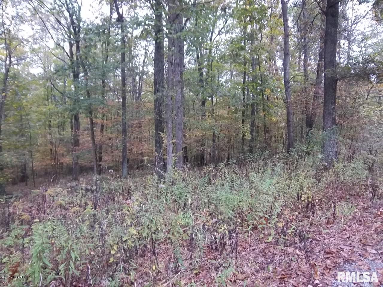 0 South Iron Furnace Road Rosiclare, IL 62982 - Photo 19 of 31 Gallery Image 19
