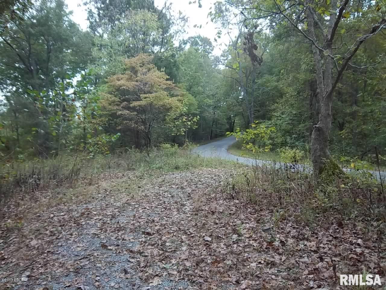 0 South Iron Furnace Road Rosiclare, IL 62982 - Photo 20 of 31 Gallery Image 20
