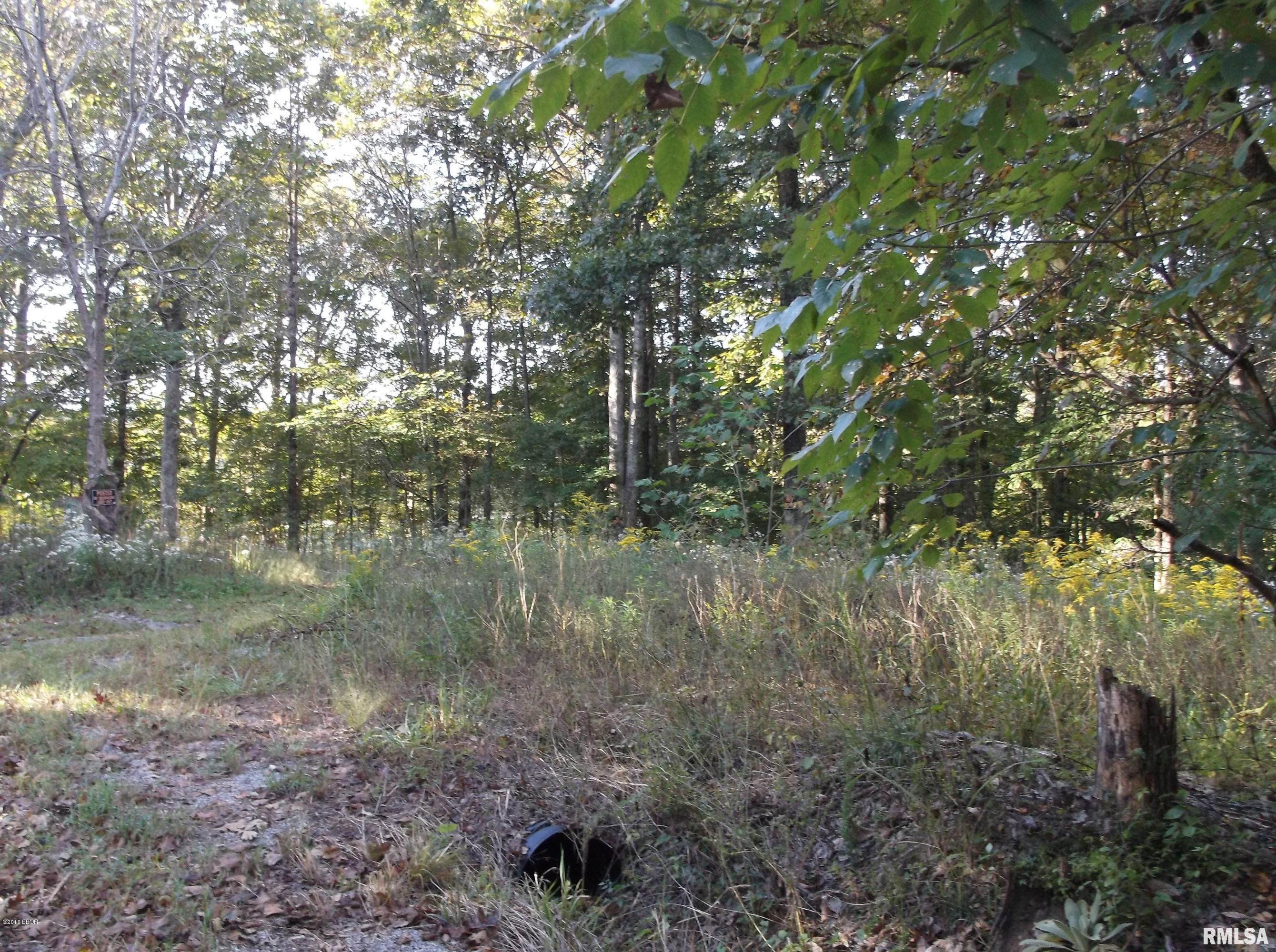 0 South Iron Furnace Road Rosiclare, IL 62982 - Photo 2 of 31 Gallery Image 2