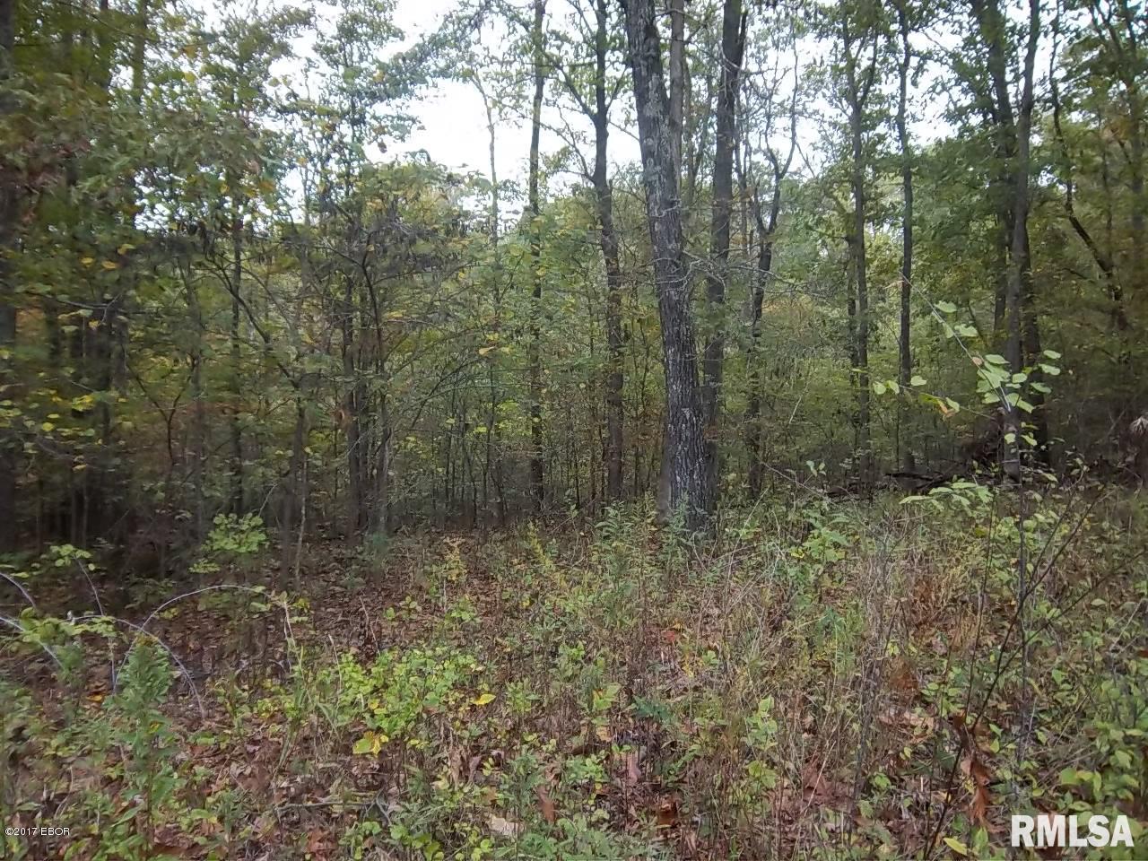0 South Iron Furnace Road Rosiclare, IL 62982 - Photo 23 of 31 Gallery Image 23