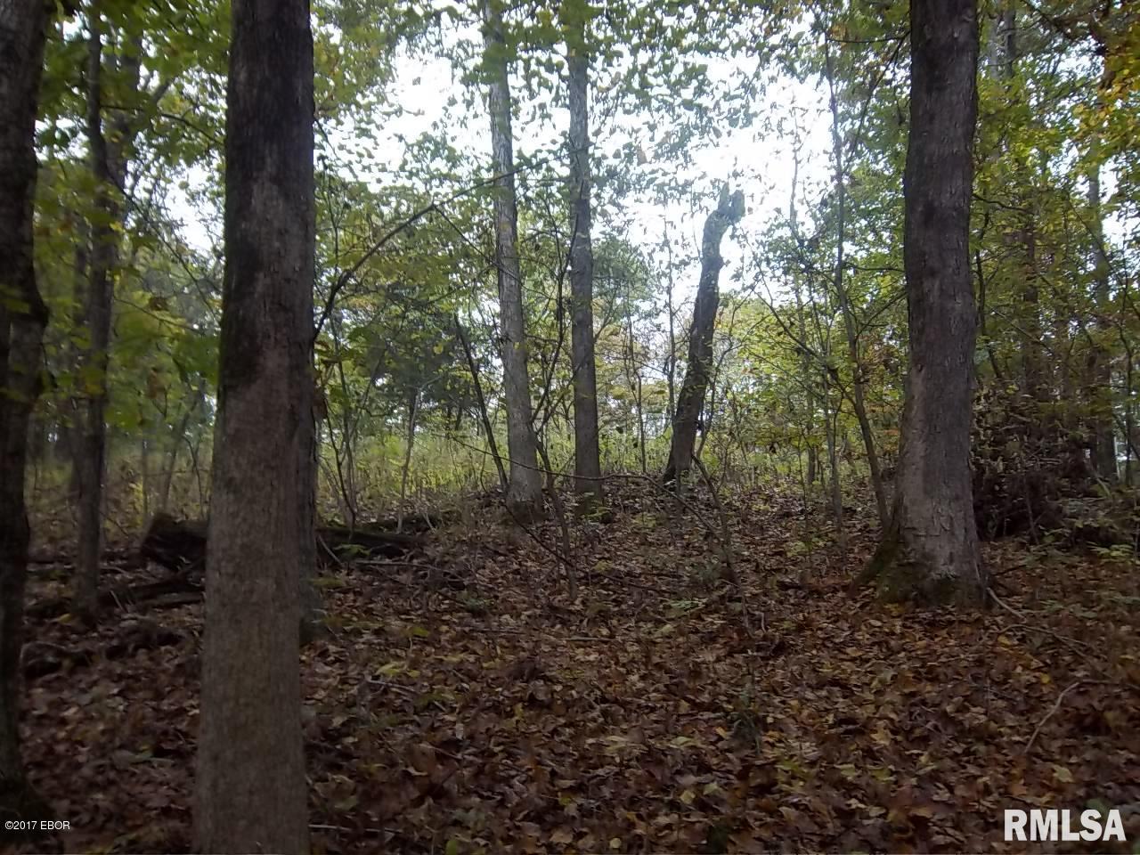 0 South Iron Furnace Road Rosiclare, IL 62982 - Photo 29 of 31 Gallery Image 29