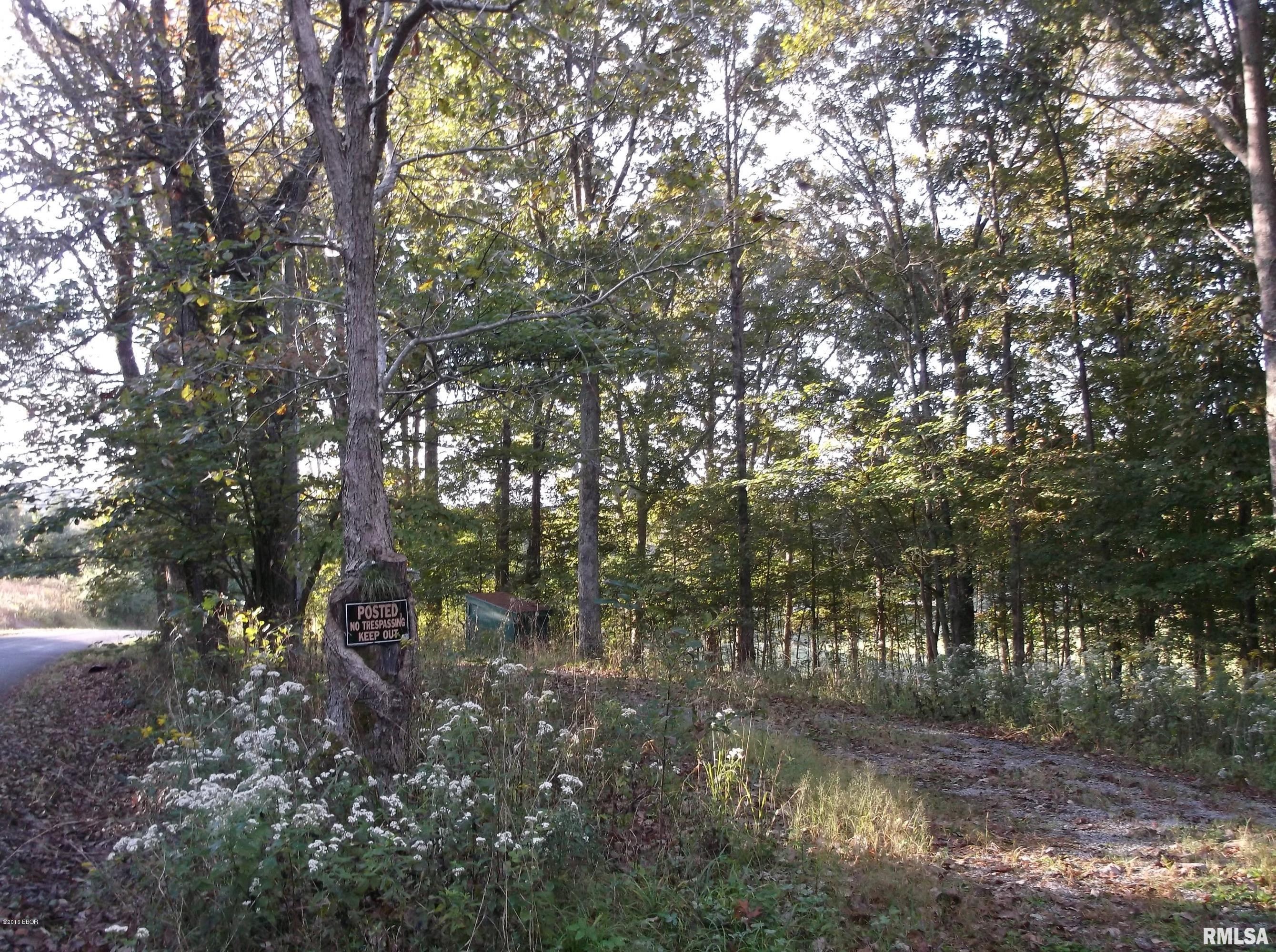 0 South Iron Furnace Road Rosiclare, IL 62982 - Photo 3 of 31 Gallery Image 3