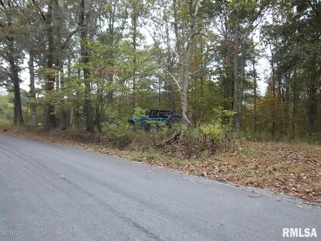 0 South Iron Furnace Road Rosiclare, IL 62982 - Photo 31 of 31 Gallery Image 31
