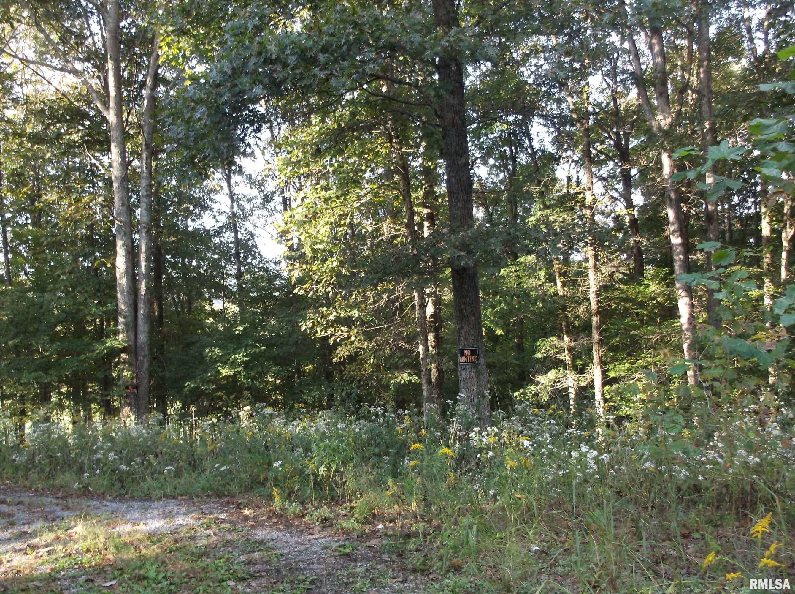 0 South Iron Furnace Road Rosiclare, IL 62982 - Photo 4 of 31 Gallery Image 4