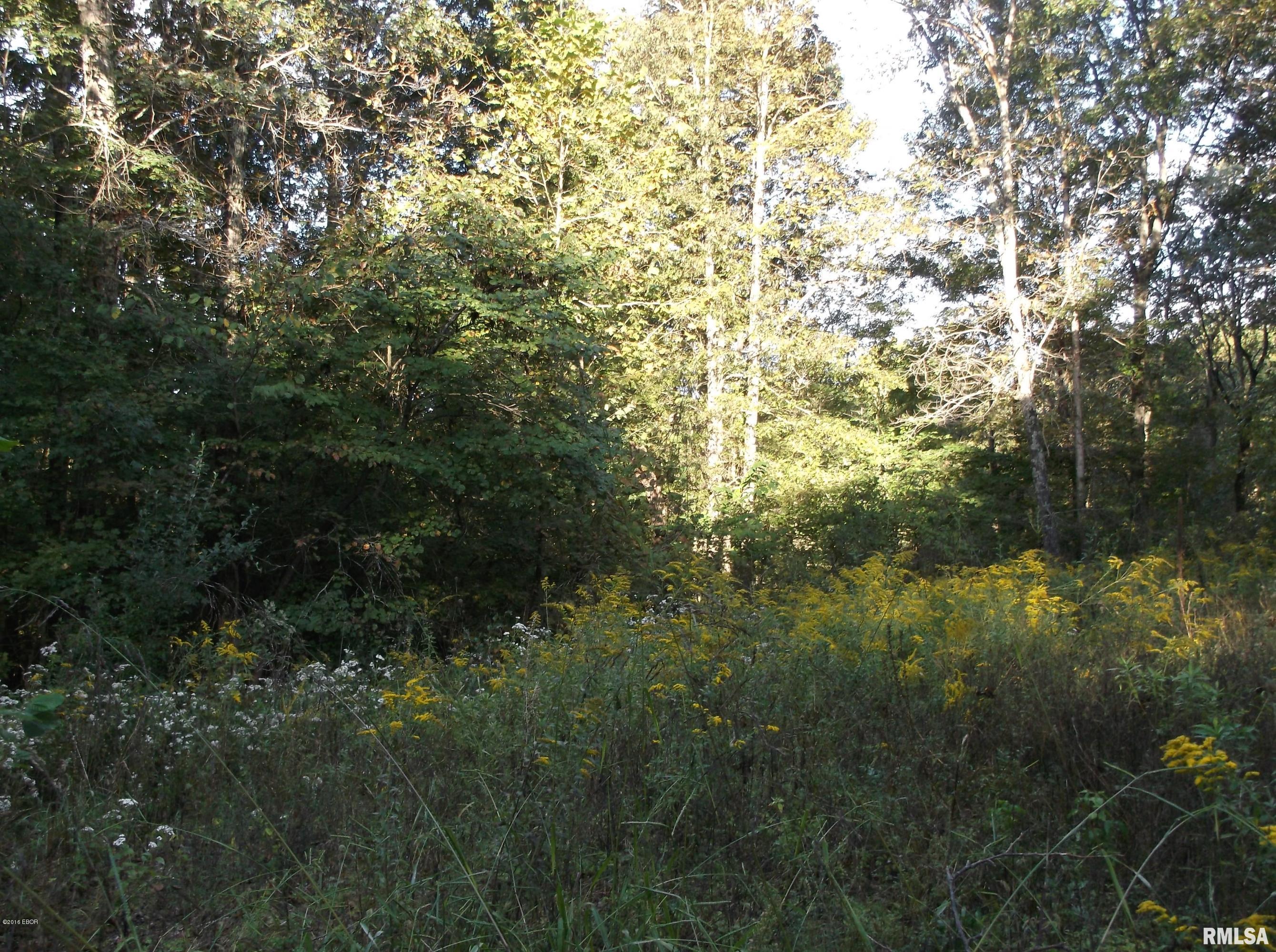 0 South Iron Furnace Road Rosiclare, IL 62982 - Photo 5 of 31 Gallery Image 5