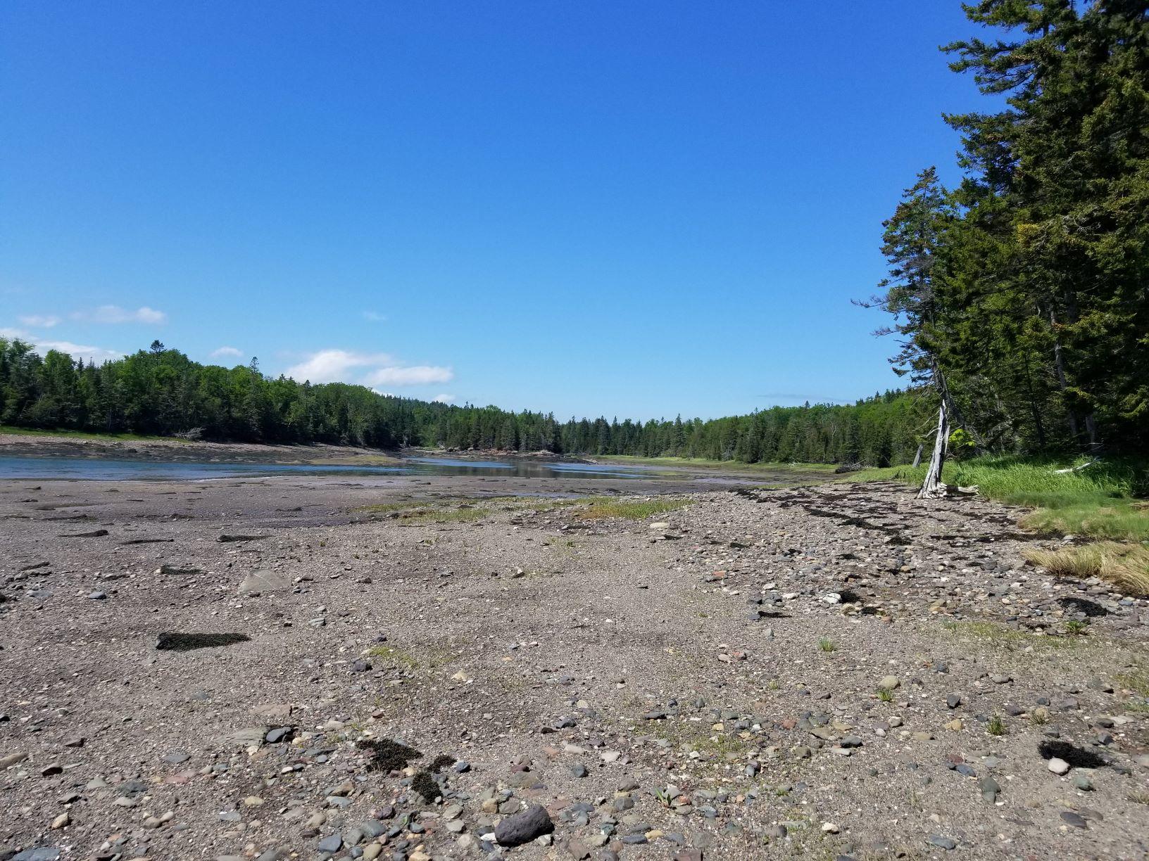 0 Lincoln Cove Road Perry, ME 04667 - Photo 37 of 53 Lincoln Cove view at low tide 2