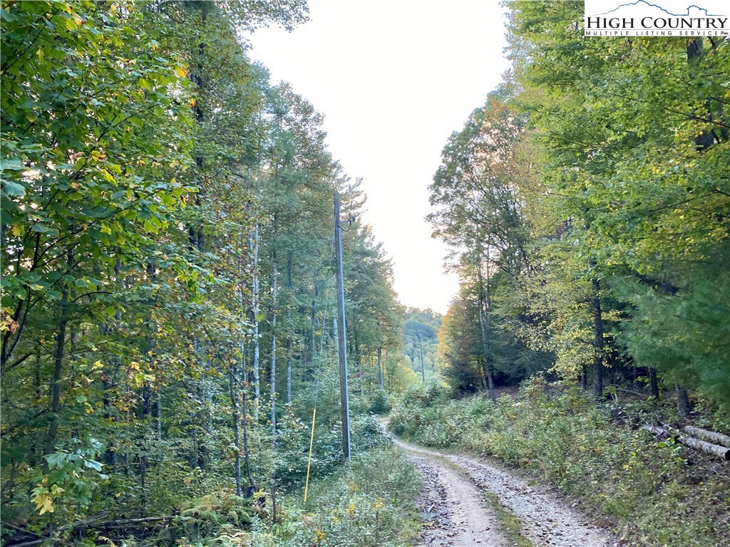 Guy Ford Road Sugar Grove, NC 28679 - Photo 11 of 13 Gallery Image 11