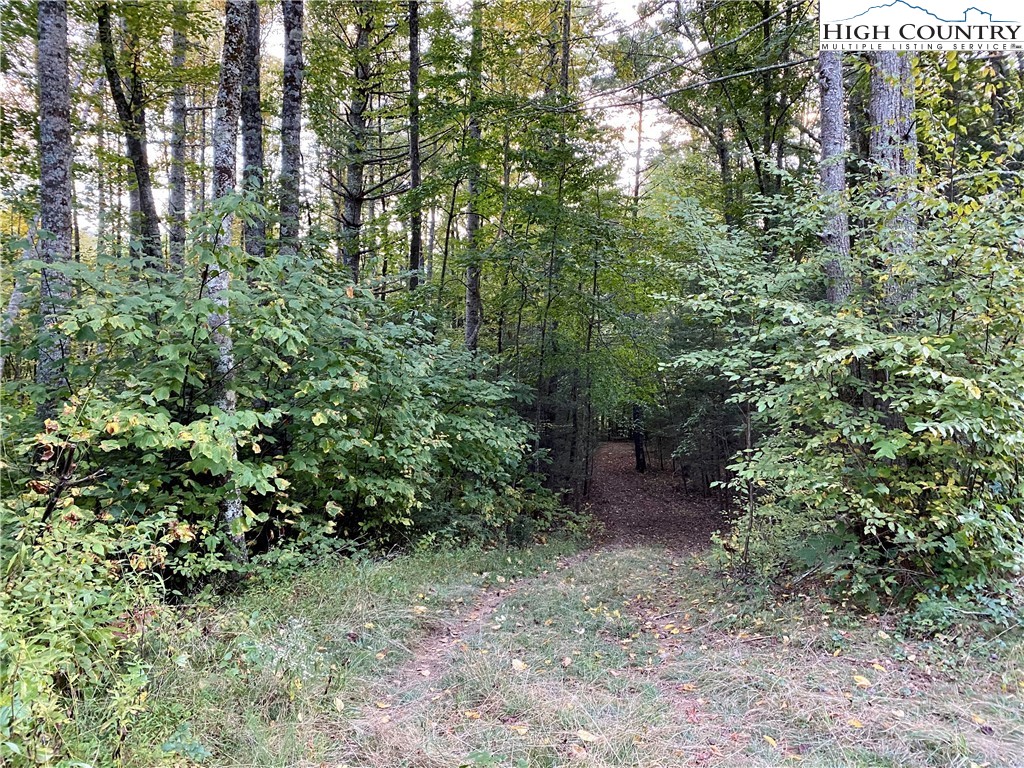 Guy Ford Road Sugar Grove, NC 28679 - Photo 12 of 13 Gallery Image 12
